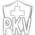 Icon-PKV-Versicherung1 Private Krankenversicherung